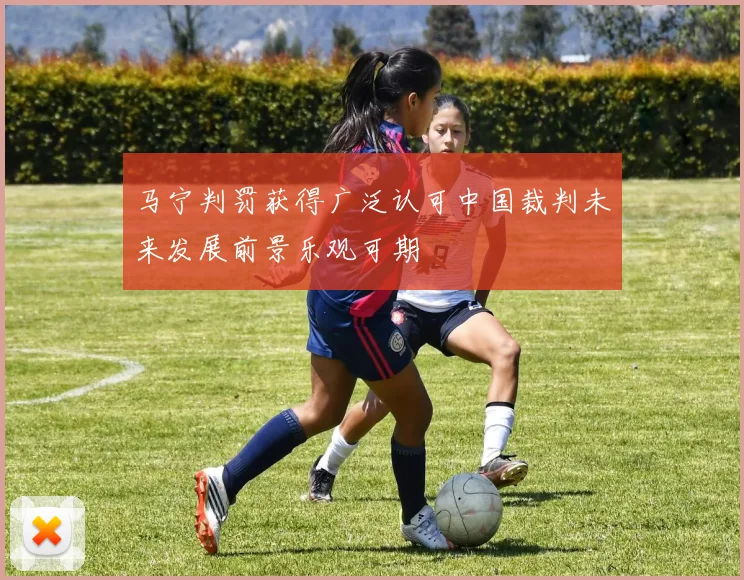 马宁判罚获得广泛认可中国裁判未来发展前景乐观可期